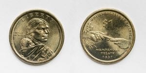 One dollar coin